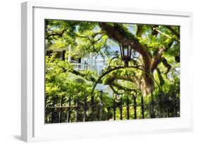 Charleston Villa Garden With Live Oak Tree-George Oze-Framed Photographic Print