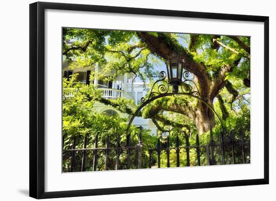 Charleston Villa Garden With Live Oak Tree-George Oze-Framed Photographic Print