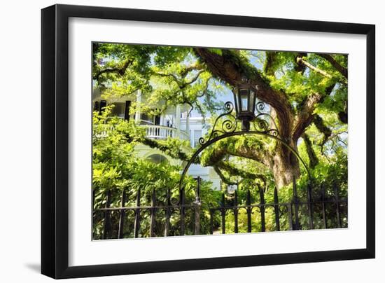 Charleston Villa Garden With Live Oak Tree-George Oze-Framed Premium Photographic Print