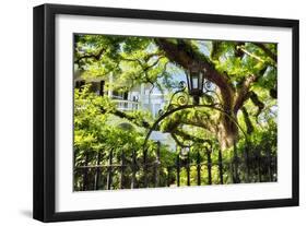 Charleston Villa Garden With Live Oak Tree-George Oze-Framed Premium Photographic Print