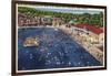 Charleston, West Virginia - Rock Lake Swimming Pool View-Lantern Press-Framed Art Print