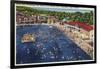 Charleston, West Virginia - Rock Lake Swimming Pool View-Lantern Press-Framed Art Print