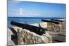 Charlestown, Nevis, St. Kitts and Nevis, Leeward Islands, West Indies, Caribbean, Central America-Robert Harding-Mounted Photographic Print