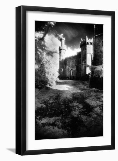 Charleville Forest, County Offaly, Ireland-Simon Marsden-Framed Premium Giclee Print