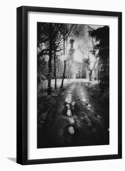 Charleville Forest, County Offaly, Ireland-Simon Marsden-Framed Giclee Print