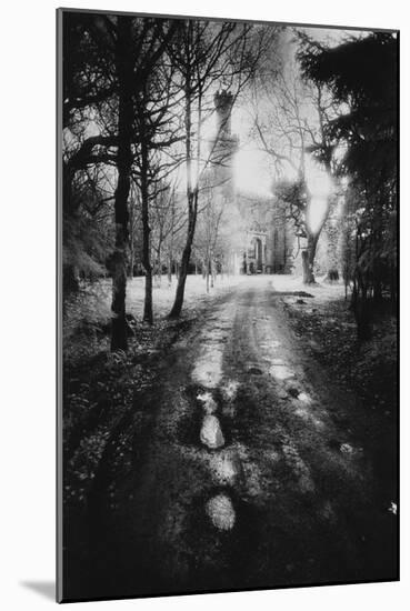 Charleville Forest, County Offaly, Ireland-Simon Marsden-Mounted Giclee Print