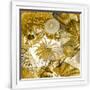 Gramercy White