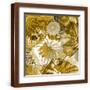 Brown Frame