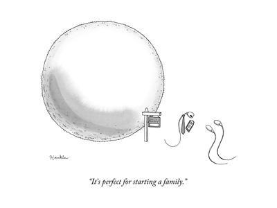 "It's perfect for starting a family." - New Yorker Cartoon