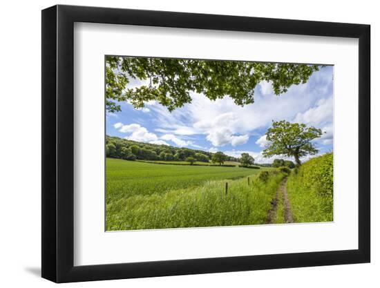 Premium Photographic Print, , large