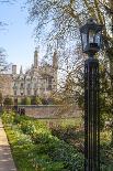 The Long Walk with Windsor Castle in the Background, Windsor, Berkshire, England-Charlie Harding-Photographic Print