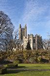 The Long Walk with Windsor Castle in the Background, Windsor, Berkshire, England-Charlie Harding-Photographic Print