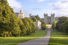 The Long Walk with Windsor Castle in the Background, Windsor, Berkshire, England-Charlie Harding-Photographic Print