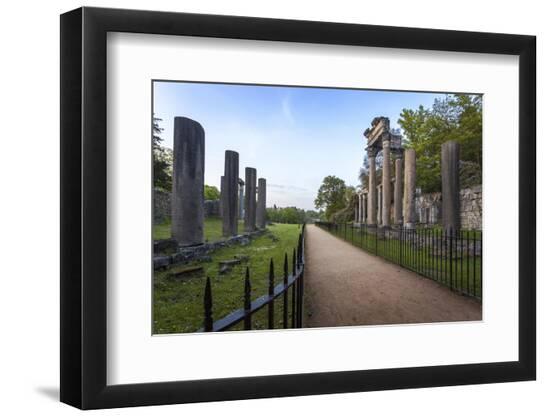 Premium Photographic Print, , large
