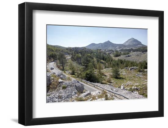 Premium Photographic Print, , large