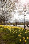 A View of Kings College from the Backs, Cambridge, Cambridgeshire, England, United Kingdom, Europe-Charlie Harding-Photographic Print