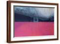 Brown Frame