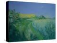 Stretched Canvas