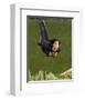 Charlize Theron-null-Framed Photo