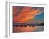 Charlott Harbor-Steven Maxx-Framed Photographic Print