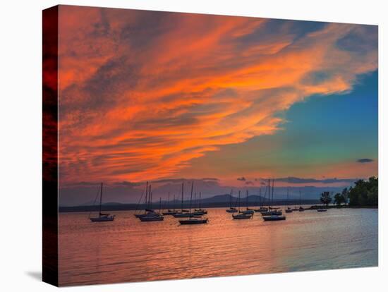 Charlott Harbor-Steven Maxx-Stretched Canvas