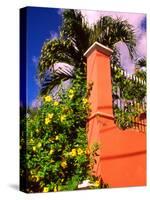 Charlotte Amalie, St. Thomas, Caribbean-Alan Klehr-Stretched Canvas