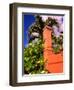 Charlotte Amalie, St. Thomas, Caribbean-Alan Klehr-Framed Photographic Print