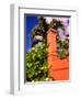 Charlotte Amalie, St. Thomas, Caribbean-Alan Klehr-Framed Photographic Print