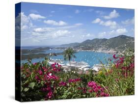 Charlotte Amalie, St. Thomas, U.S. Virgin Islands, West Indies, Caribbean, Central America-Angelo Cavalli-Stretched Canvas