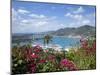 Charlotte Amalie, St. Thomas, U.S. Virgin Islands, West Indies, Caribbean, Central America-Angelo Cavalli-Mounted Photographic Print