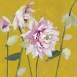 From My Garden - Aquilegia-Charlotte Hardy-Framed Giclee Print