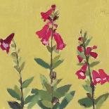 Kitchen Flowers - Foxgloves-Charlotte Hardy-Giclee Print