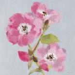 From My Garden - Rose-Charlotte Hardy-Giclee Print