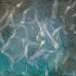Sari Fish, 2000-Charlotte Johnstone-Giclee Print