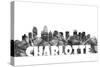 Charlotte NC Skyline BG 2-Marlene Watson-Stretched Canvas