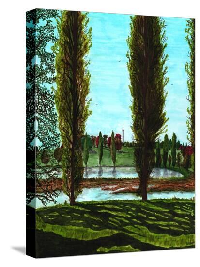 Stretched Canvas Print, , large