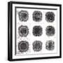 Black Frame
