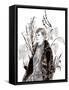 Framed Canvas