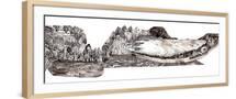 Brown Frame