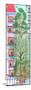 Wood Mount