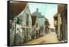 Charlotte Street, St. Augustine, Florida-null-Framed Stretched Canvas