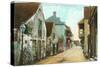 Charlotte Street, St. Augustine, Florida-null-Stretched Canvas