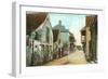 Charlotte Street, St. Augustine, Florida-null-Framed Art Print