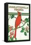 Charlottesville, Virginia - Cardinal Perched on a Holly Branch-Lantern Press-Framed Stretched Canvas