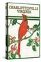 Charlottesville, Virginia - Cardinal Perched on a Holly Branch-Lantern Press-Stretched Canvas