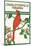 Charlottesville, Virginia - Cardinal Perched on a Holly Branch-Lantern Press-Mounted Art Print