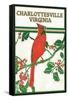 Charlottesville, Virginia - Cardinal Perched on a Holly Branch-Lantern Press-Framed Stretched Canvas