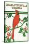 Charlottesville, Virginia - Cardinal Perched on a Holly Branch-Lantern Press-Stretched Canvas