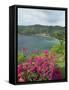 Charlotteville, Tobago, West Indies, Caribbean, Central America-Harding Robert-Framed Stretched Canvas