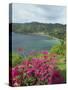 Charlotteville, Tobago, West Indies, Caribbean, Central America-Harding Robert-Stretched Canvas